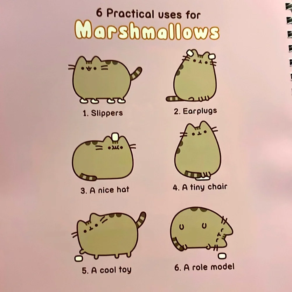 •Last One!• Pusheen 16 Month Weekly 2025 Planner With Stickers